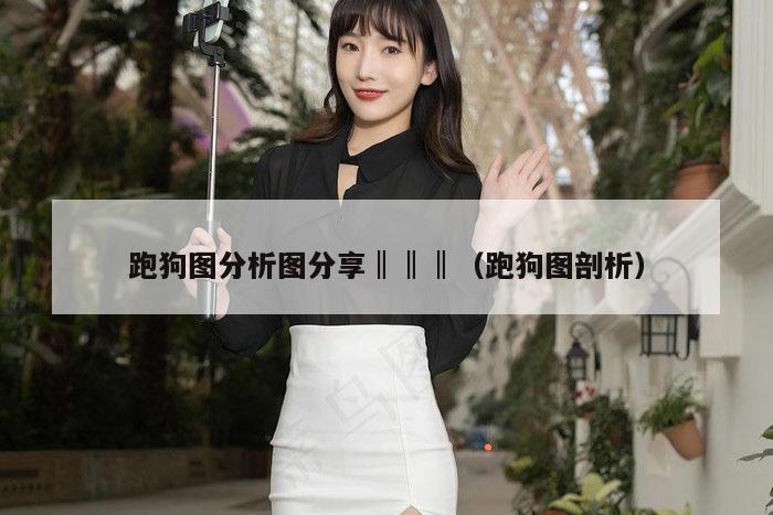 跑狗图分析图分享‖‖‖(跑狗图剖析)