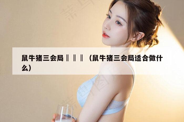 鼠牛猪三会局‖‖‖（鼠牛猪三会局适合做什么）